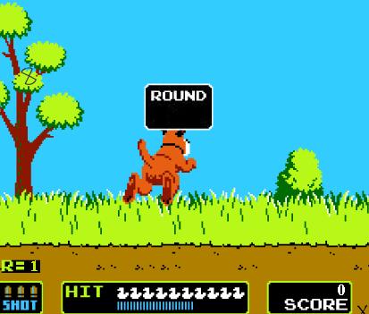 Duck Hunt