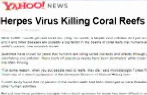 Colbert Report - Coral Reef Threat Down